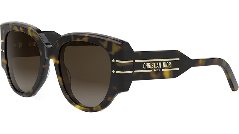 DiorSignature R2I Shiny Havana Butterfly Sunglasses
