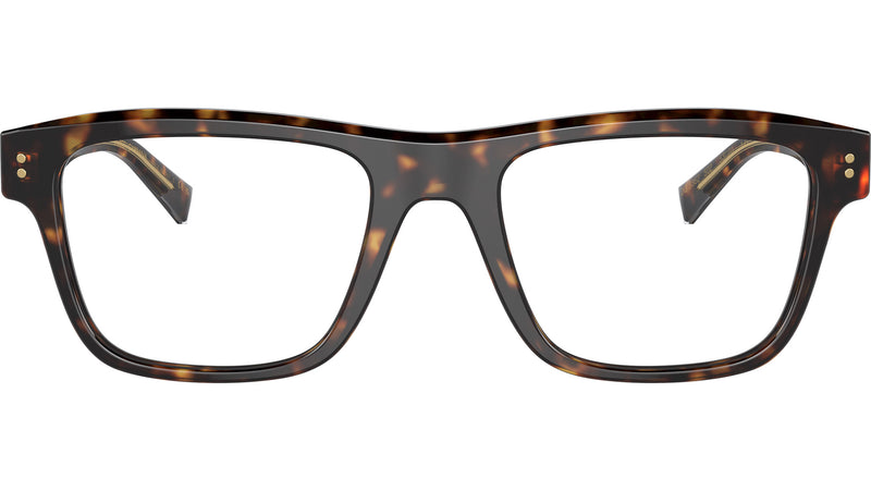 DG 3362 502 tortoise