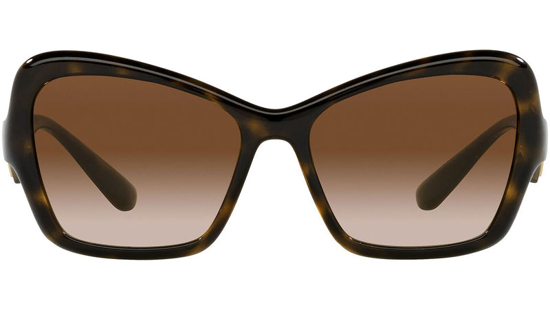 DG 6153 502/13 tortoise