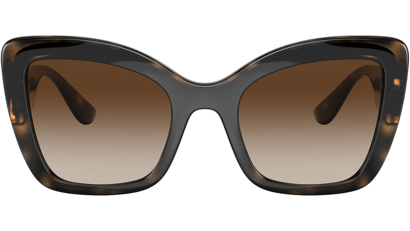 DG 6170 330613 tortoise