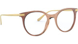 DG 3330 3269 brown
