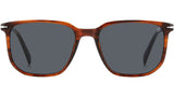 DB 1141/S EX4 IR Brown Horn