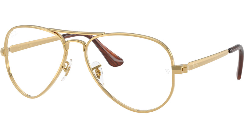 Aviator Max Optics RB3925V 2500