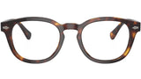 PH2272 6137 Brown Tortoise