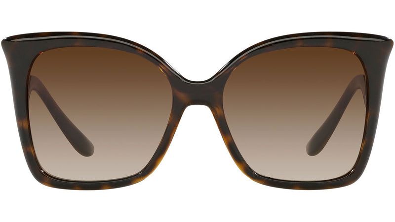 DG 6168 502/13 tortoise