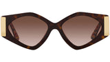 DG 4396 321713 Tortoise Brown